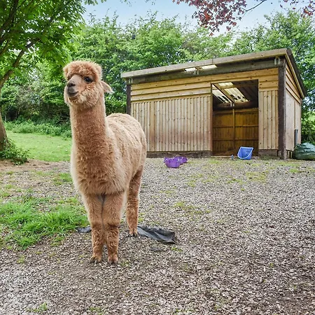 Oak - Uk30005 Dom wakacyjny