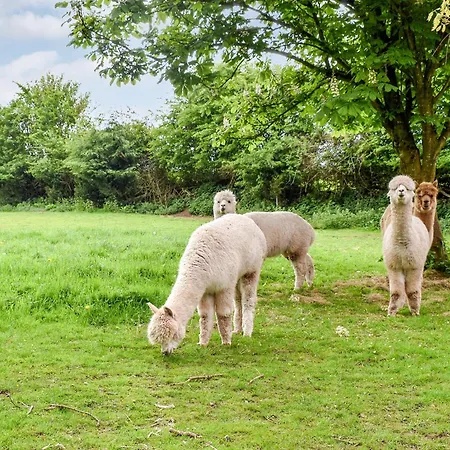 Nyaraló Oak - Uk30005 Lindal in Furness