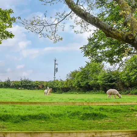 Nyaraló Oak - Uk30005